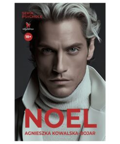 Noel - książka
